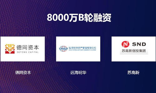 万店掌获8000万元B轮融资，德同资本领投，助力线下零售智能管理与数据处理服务升级