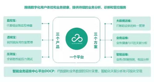 数字与数据之智 云智慧数据处理服务解析